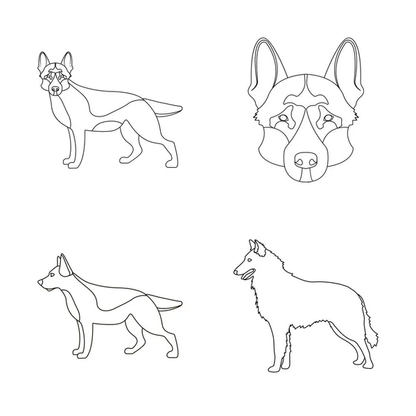Objet isolé et symbole de chien de berger. Collection et illustration vectorielle de stock allemande . — Image vectorielle