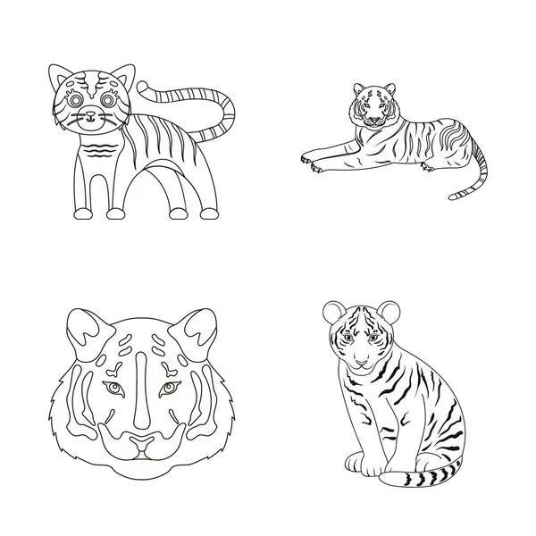 Isolerade objekt av tiger och asiatiska logotyp. Uppsättning av tiger och tatuering lager vektorillustration. — Stock vektor