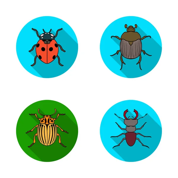 Isolated object of insect and beetle symbol. Set of insect and halloween vector icon for stock. — Stock Vector