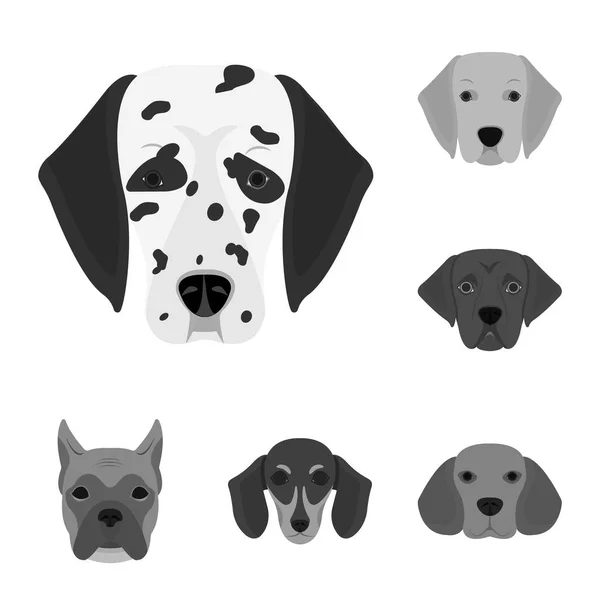 Isolated object of cute and puppy icon. Collection of cute and animal stock vector illustration. — Stock Vector