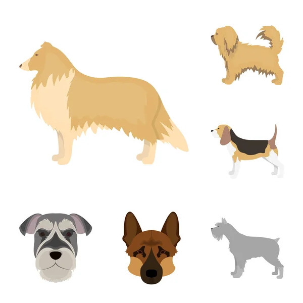 Ilustración vectorial de lindo y cachorro símbolo. Conjunto de icono de vector lindo y animal para la acción . — Vector de stock