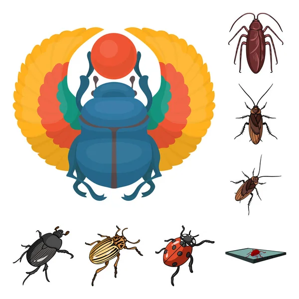 Projeto vetorial do ícone de inseto e besouro. Conjunto de inseto e ícone de vetor de halloween para estoque . — Vetor de Stock