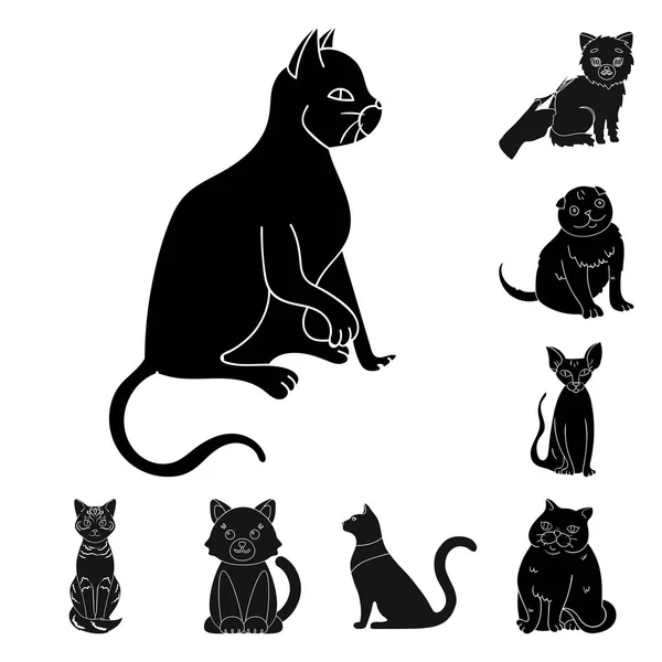 Vector ontwerp van pet en sphynx teken. Set huisdier en fun vector pictogram voor voorraad. — Stockvector