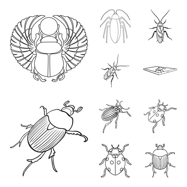 Vector design of insect and beetle symbol. Collection of insect and halloween vector icon for stock. — Stock Vector