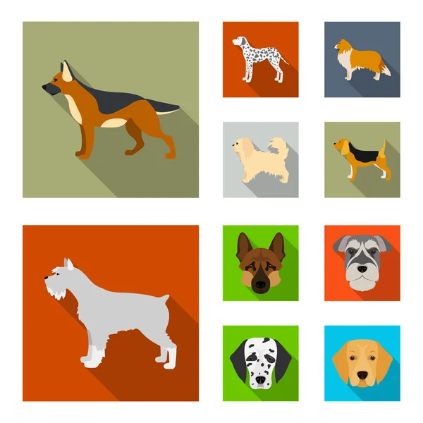 Ilustración vectorial del logotipo lindo y cachorro. Conjunto de lindo y animal stock símbolo para web . — Vector de stock
