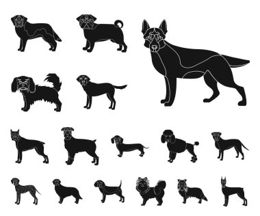 Köpek ırkları set koleksiyonu tasarım için simgeler siyah. Köpek evde beslenen hayvan vektör simge stok web çizim.