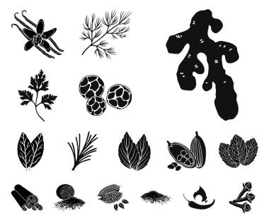 Ot ve baharat set koleksiyonu tasarım için simgeler siyah. Baharat çeşitleri simge stok web illüstrasyon vektör.