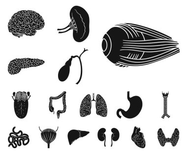 İnsan organlarını set koleksiyonu tasarım için simgeler siyah. Sembol stok web illüstrasyon vektör anatomi ve iç organlar.