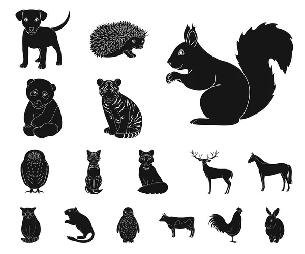 Realistische Tiere schwarze Symbole in Set-Kollektion für Design. wilde und Haustiere Vektor Symbol Stock Web Illustration. — Stockvektor