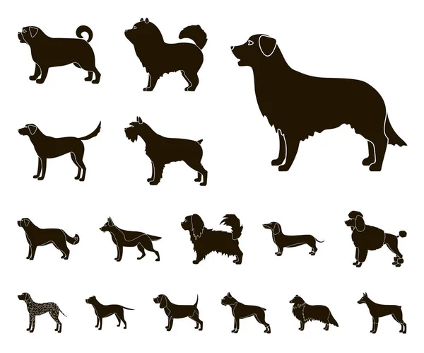 Dog breeds black icons in set collection for design.Dog pet vector symbol stock web illustration. — Stock Vector