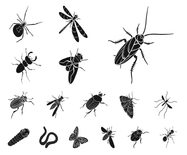 Verschiedene Arten von Insekten schwarze Symbole in Set Sammlung für Design. Insekt Arthropoden Vektor isometrisches Symbol Stock Web Illustration. — Stockvektor