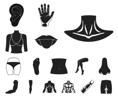 Uzuv / Organ, set koleksiyonu tasarım için bacak siyah simgeler. İnsan anatomisi vektör simge stok web çizimi.