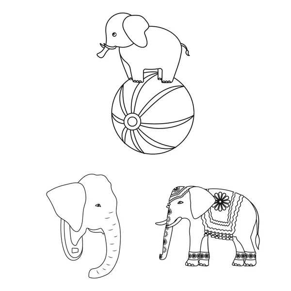 Ilustración vectorial de elefante y símbolo asiático. Conjunto de elefante y elefante símbolo de stock para la web . — Vector de stock