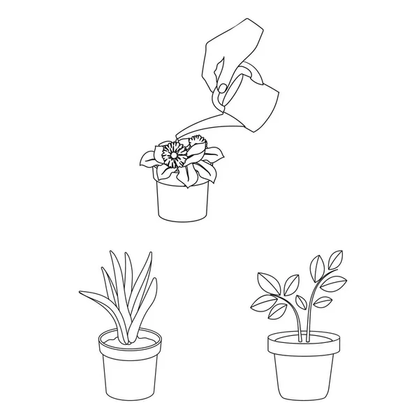 Εικονογράφηση διάνυσμα εικονίδιο φυτών και λουλουδιών. Σύνολο των εγκαταστάσεων και ποτ σύμβολο μετοχής για το web. — Διανυσματικό Αρχείο