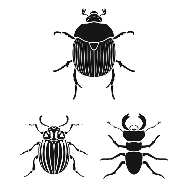 Vector illustration of insect and beetle symbol. Collection of insect and halloween stock symbol for web. — Stock Vector