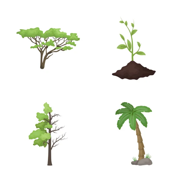 Ізольований об'єкт дерева та лісового логотипу. Набір дерева та зеленого запасу Векторні ілюстрації . — стоковий вектор