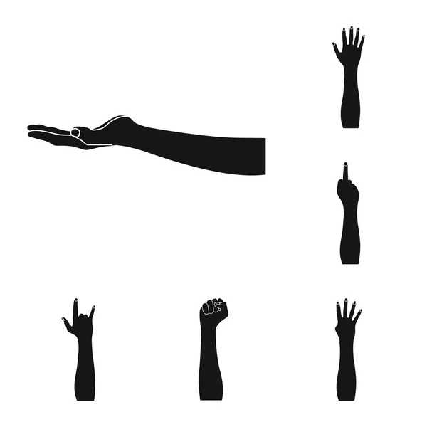 Isolerade objekt av animerade och tummen symbol. Uppsättning av animerade och gest lager vektorillustration. — Stock vektor