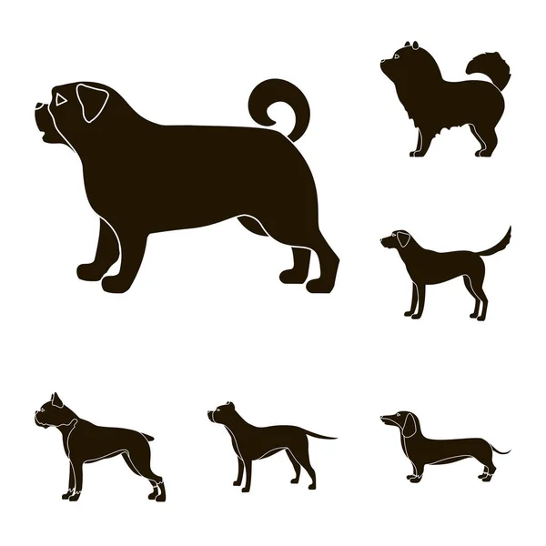 Objeto aislado de lindo y cachorro icono. Colección de lindo y animal stock vector ilustración . — Vector de stock