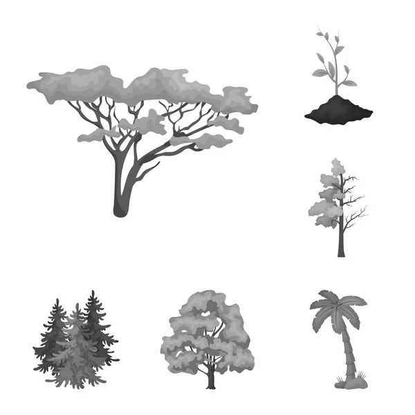 Illustrazione vettoriale del segno dell'albero e della foresta. Serie di albero e verde stock vettoriale illustrazione . — Vettoriale Stock