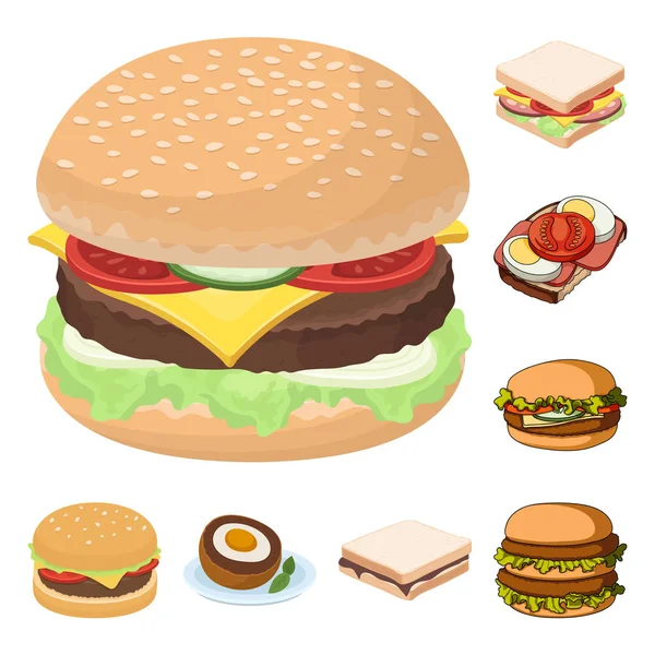 Isolated object of sandwich and wrap sign. Set of sandwich and lunch vector icon for stock. — Stock Vector