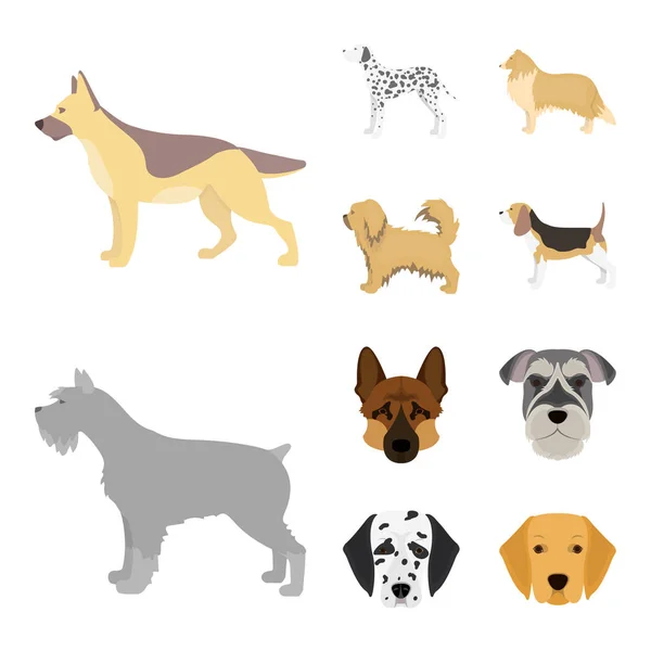 Diseño vectorial de lindo y cachorro icono. Conjunto de icono de vector lindo y animal para la acción . — Vector de stock