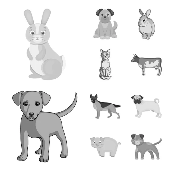 Diseño vectorial de signo animal y hábitat. Colección de animales y granja icono de vector para stock . — Vector de stock