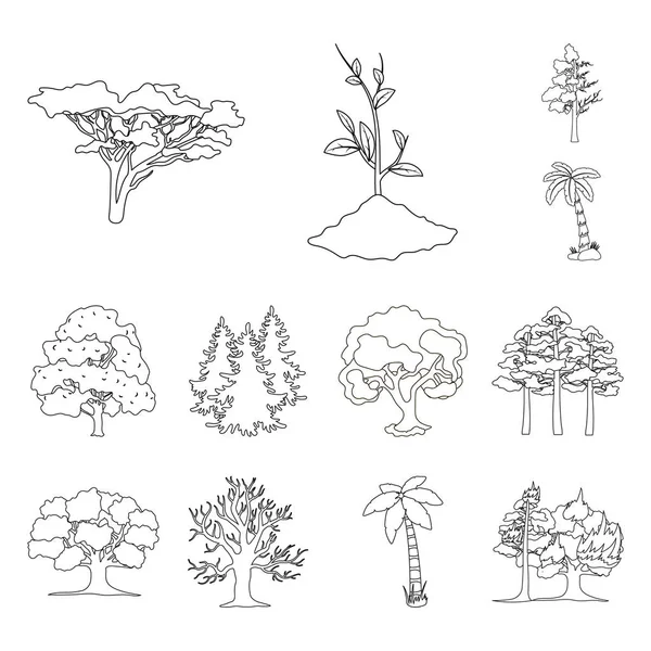 Векторный Дизайн Дерева Лесного Знака Коллекция Дерева Зеленого Символа Запаса — стоковый вектор