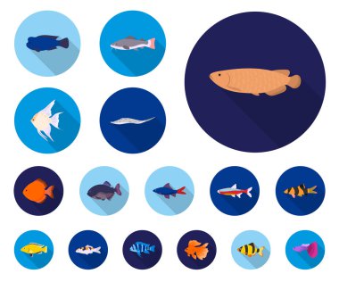 Farklı türde balık set koleksiyonu tasarım için simgeleri düz. Deniz ve akvaryum balık sembol stok web illüstrasyon vektör.