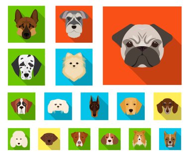 Köpek ırkları set koleksiyonu tasarım için simgeleri düz. Bir köpek vektör simge stok web illüstrasyon namlu.