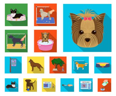 Set koleksiyonu tasarım için evde beslenen hayvan düz simgeler. Bakım ve eğitim sembol stok web illüstrasyon vektör.