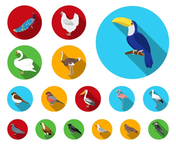 Druhů ptáků ploché ikony v nastavení kolekce pro design. Domácí a volně žijících ptáků vektor symbol akcií web ilustrace. — Stockový vektor