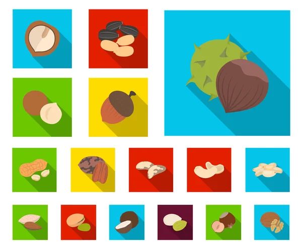Olika sorters nötter platt ikoner i set samling för design. Nut mat vektor symbol lager web illustration. — Stock vektor