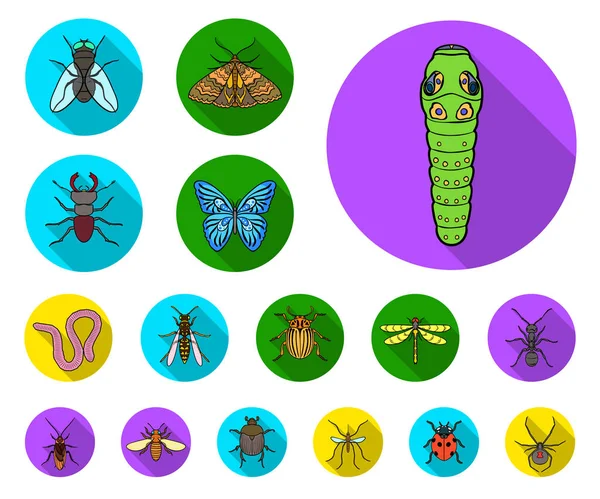 Diferentes tipos de insetos ícones planos na coleção de conjuntos para design. Inseto artrópode vetor símbolo web ilustração . — Vetor de Stock