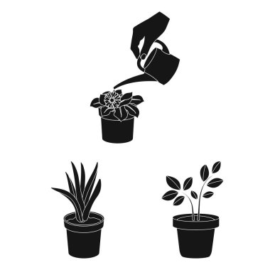 Bitki ve çiçek simge vektör tasarımı. Hisse senedi için bitki ve pot vektör simge kümesi.