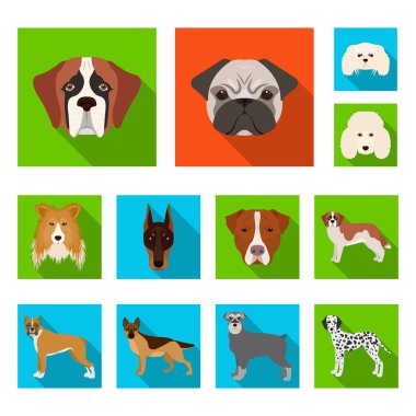 Şirin izole nesnesini ve köpek yavrusu simgesi. Şirin ve hayvan hisse senedi vektör çizim seti.