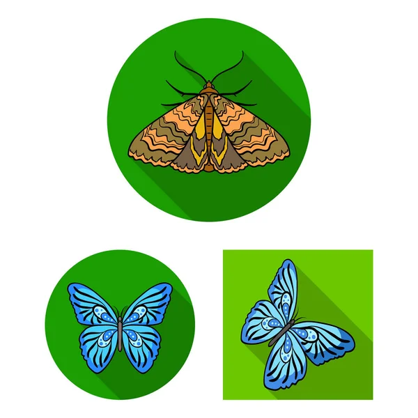 Vektor-Design von Farbe und Frühlingssymbol. Farb- und Fliegenvektorsymbole für den Bestand. — Stockvektor