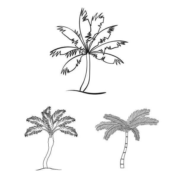 Vektor illustration av träd och sommaren tecken. Uppsättning av träd och gröna aktiesymbol för webben. — Stock vektor