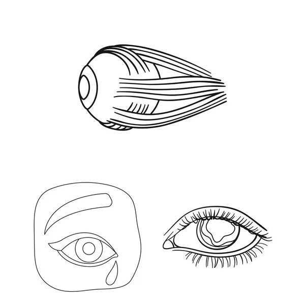 Illustration vectorielle de l'icône médicale et oculaire. Collection d'illustrations vectorielles médicales et optiques . — Image vectorielle