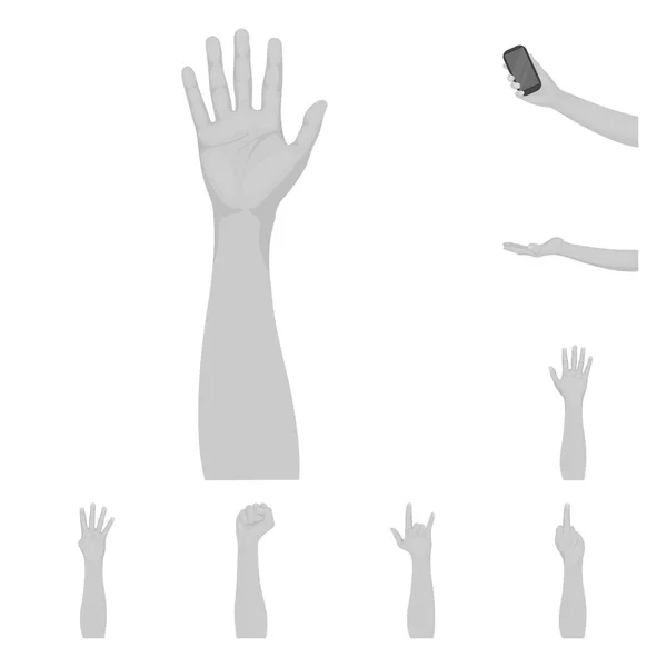 Geïsoleerde object van animatie en duim logo. Set geanimeerd en gebaar aandelensymbool voor web. — Stockvector