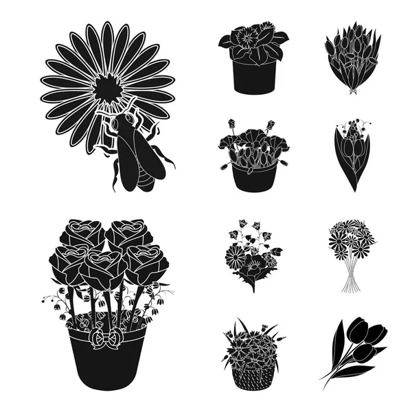 Ilustración vectorial del símbolo de primavera y corona. Colección de primavera y flor stock vector ilustración . — Archivo Imágenes Vectoriales