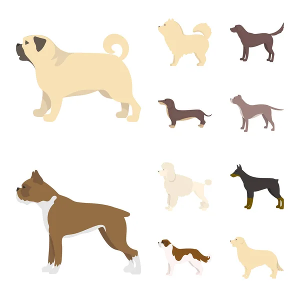 Vectorillustratie van schattig en pup ondertekenen. Collectie van leuke en dierlijke aandelensymbool voor web. — Stockvector