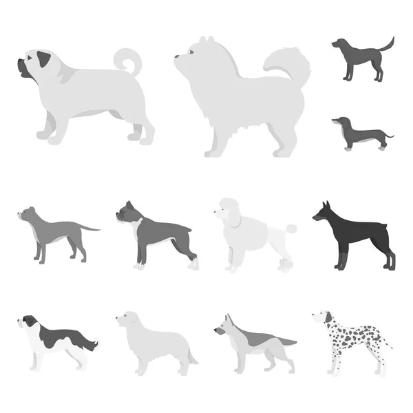 Diseño vectorial de signo lindo y cachorro. Colección de lindo y animal stock vector ilustración . — Archivo Imágenes Vectoriales