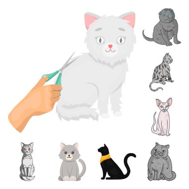 Evde beslenen hayvan ve sphynx simgesi yalıtılmış nesne. Evde beslenen hayvan ve eğlenceli hisse senedi toplama illüstrasyon vektör.