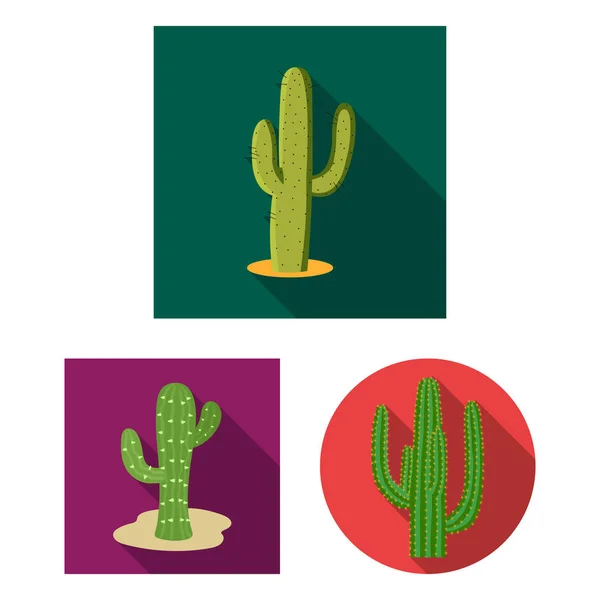 Objeto aislado de flor y logo de verano. Colección de flor y jardín icono vectorial para stock . — Vector de stock