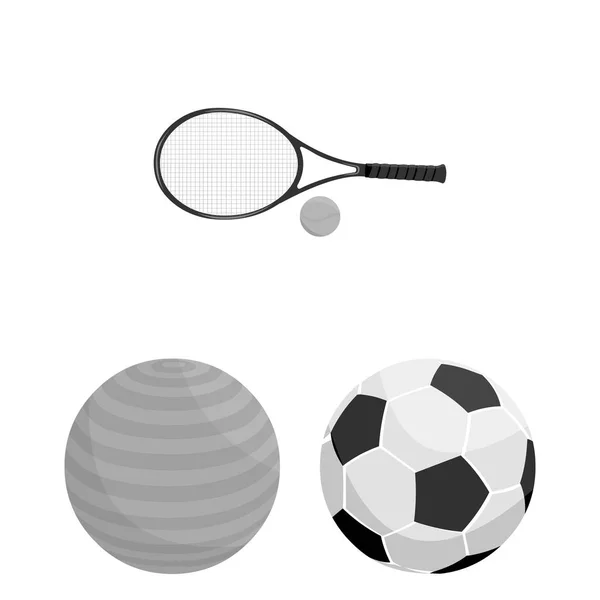 Objeto isolado do logotipo da bola e do futebol. Conjunto de bola e basquete vetor ícone para estoque . — Vetor de Stock