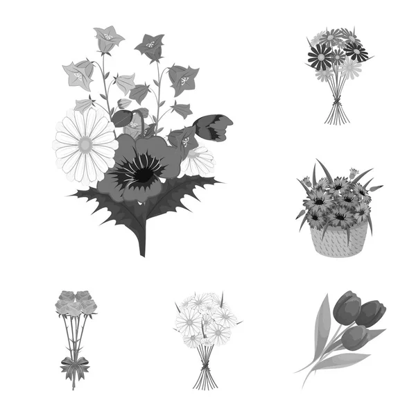 Diseño vectorial del logotipo de primavera y corona. Colección de primavera y flor icono de vector para stock . — Archivo Imágenes Vectoriales