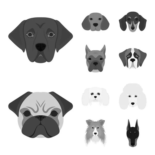 Diseño vectorial de lindo y cachorro símbolo. Conjunto de icono de vector lindo y animal para la acción . — Vector de stock