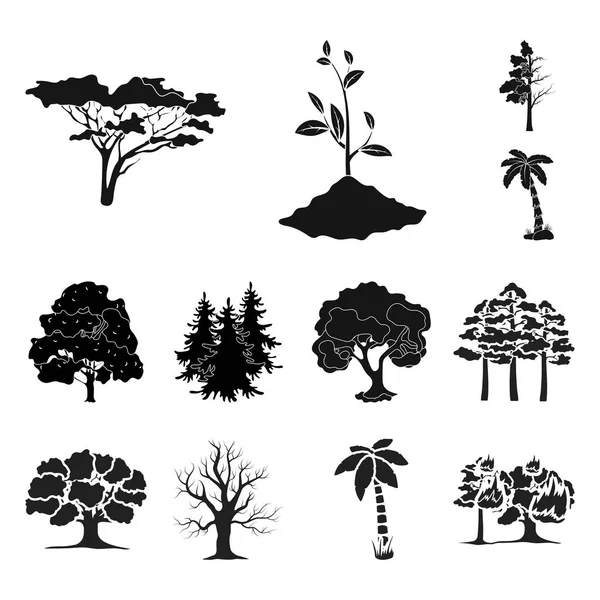 Ilustración vectorial del logotipo del árbol y del bosque. Colección de árbol y vector verde icono para stock . — Archivo Imágenes Vectoriales