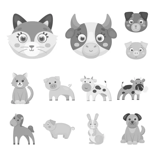 Oggetto isolato di icona animale e habitat. Set di animali e animali da allevamento simbolo per il web . — Vettoriale Stock
