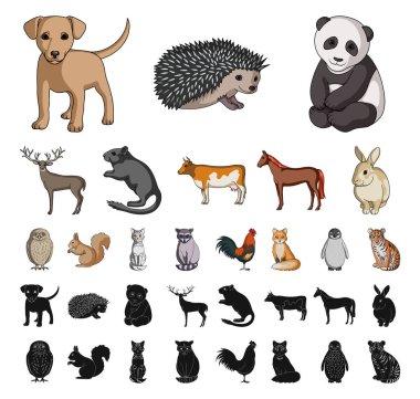 Set koleksiyonu tasarım için gerçekçi hayvanlar çizgi film, siyah simgeler. Yerli ve vahşi hayvanlar sembol stok web illüstrasyon vektör.